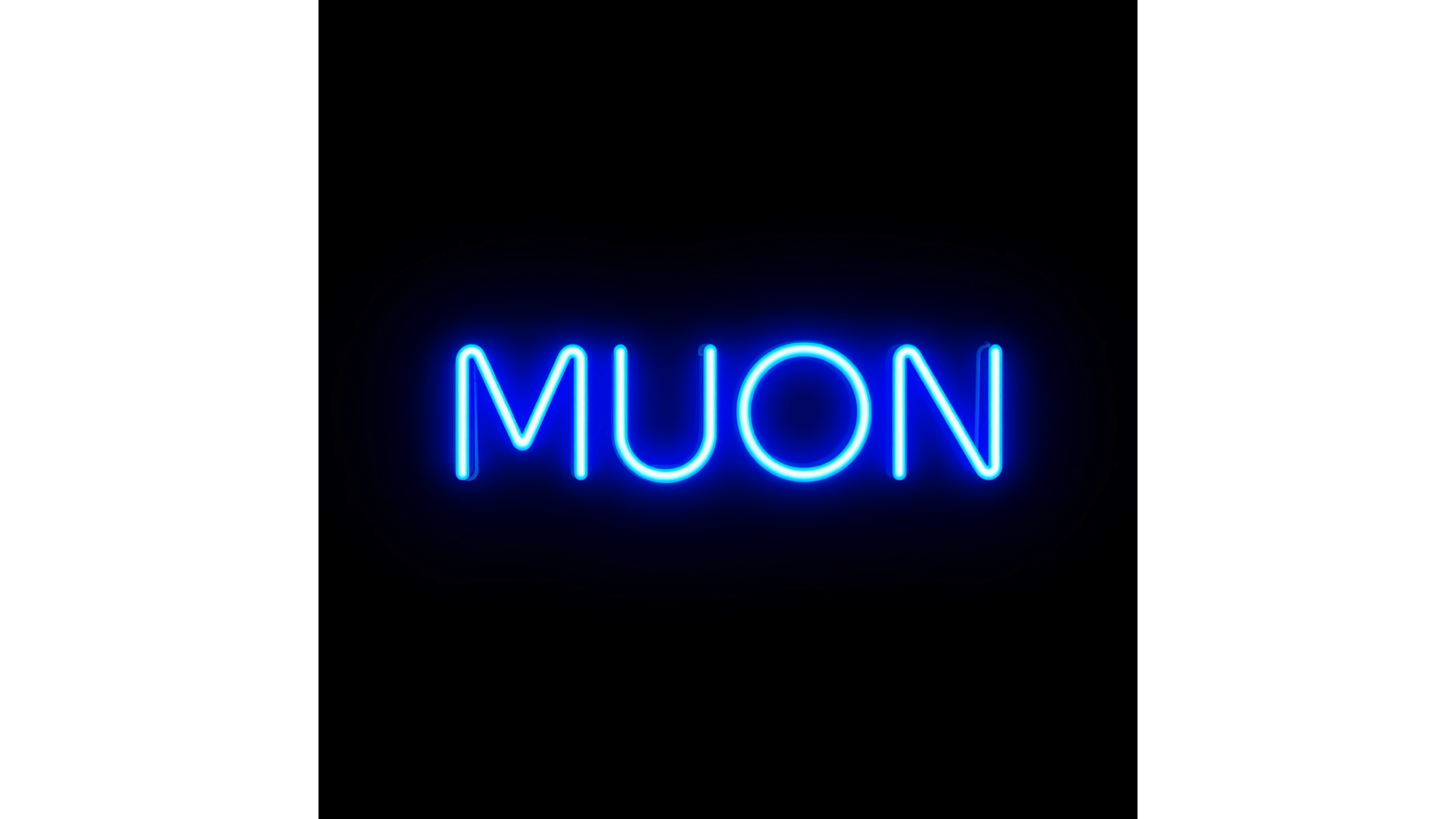 파일:muonpsa.png