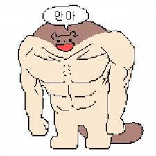 파일:프사.jpg
