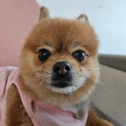 파일:260813_DDot_유저썸네.webp